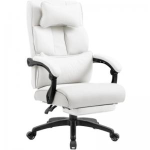 Computer Desk Chair with Lumbar Support